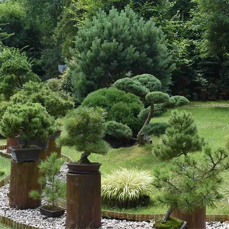 Ogrod Shinrin Yoku Vakantiehuis