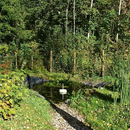 Ogrod Shinrin Yoku Srokowo