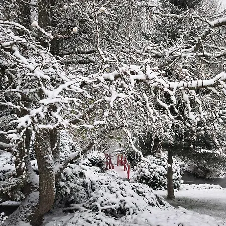 Ogrod Shinrin Yoku Semesterbostad *