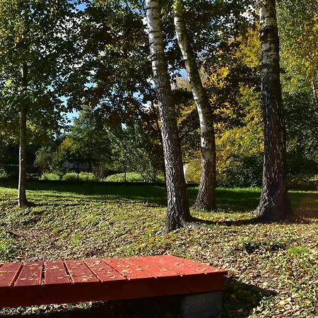 Ogrod Shinrin Yoku *