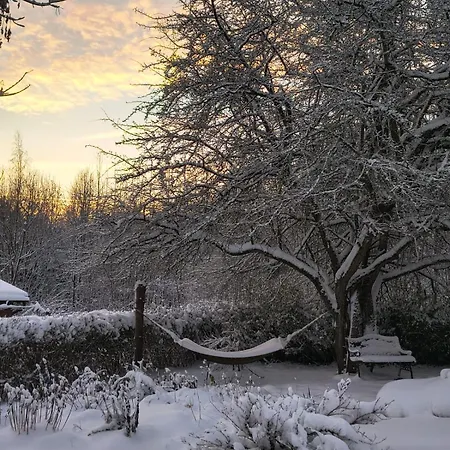 Ogrod Shinrin Yoku Semesterbostad