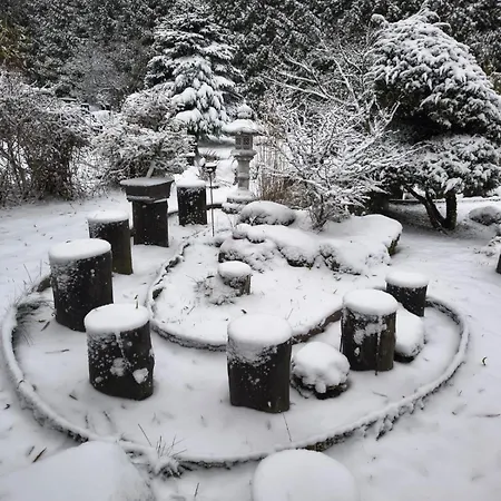 Ogrod Shinrin Yoku *